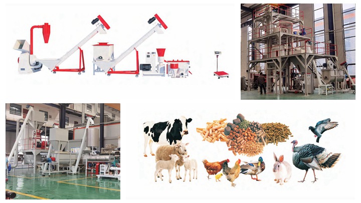 farm-use duck feed extruder machine in Philippines